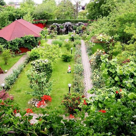 Pension Delia Gardens Тімішоара Екстер'єр фото
