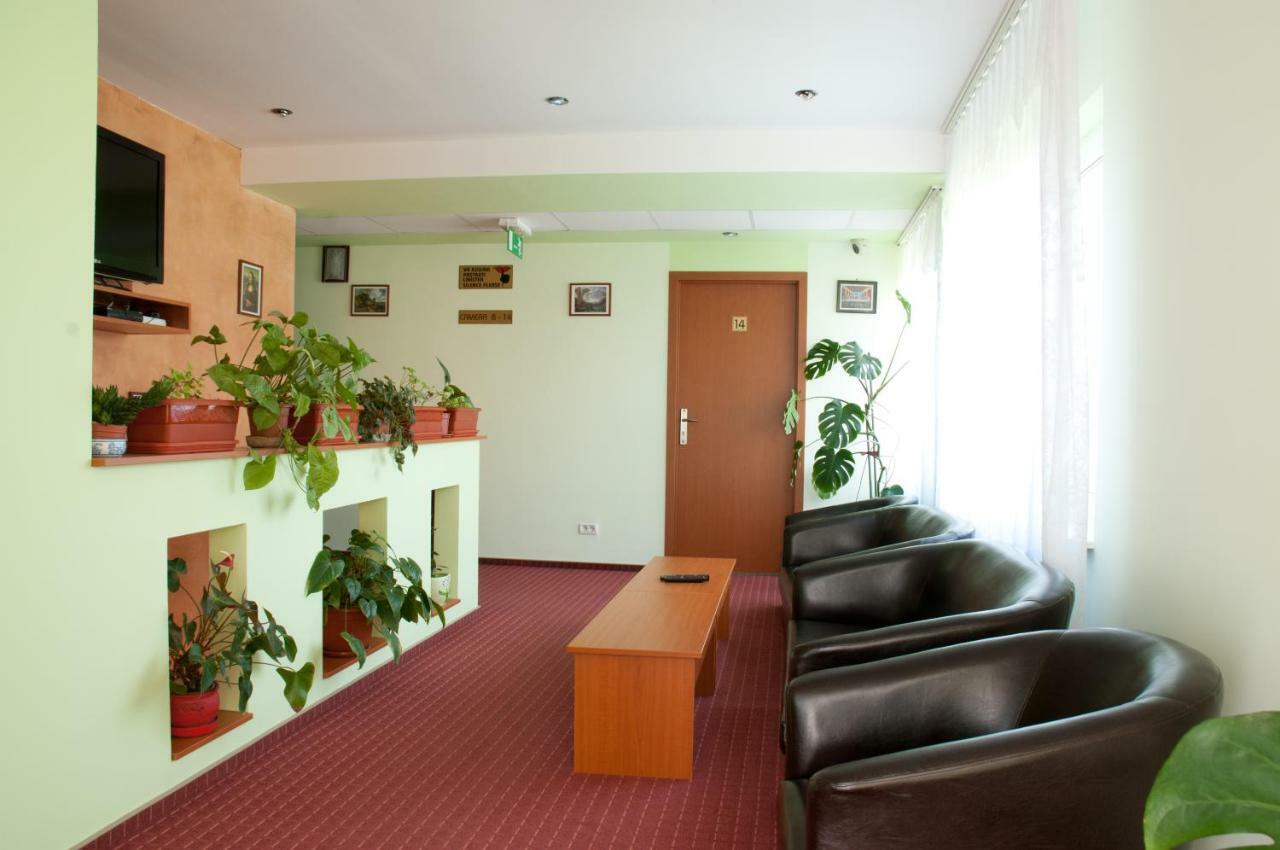 Pension Delia Gardens Тімішоара Екстер'єр фото