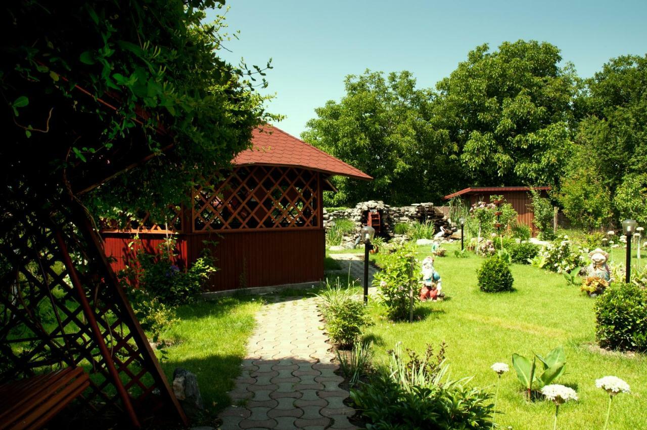 Pension Delia Gardens Тімішоара Екстер'єр фото