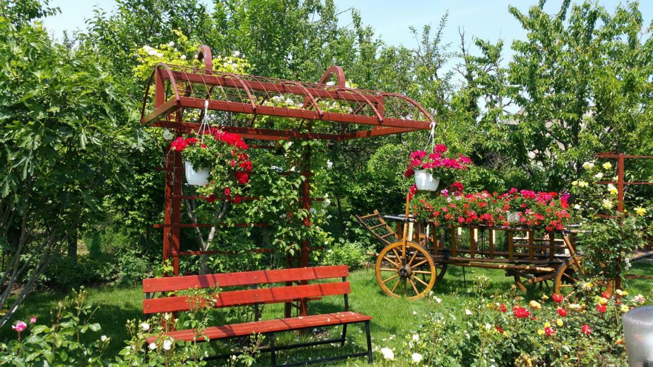 Pension Delia Gardens Тімішоара Екстер'єр фото