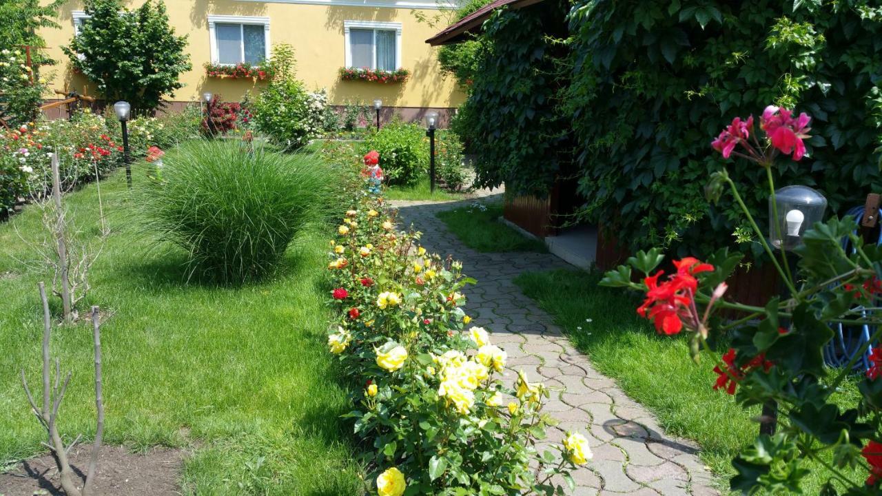 Pension Delia Gardens Тімішоара Екстер'єр фото
