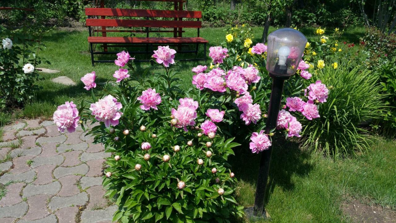 Pension Delia Gardens Тімішоара Екстер'єр фото
