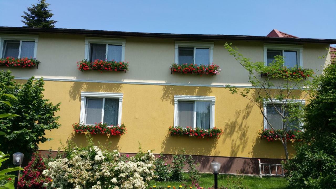 Pension Delia Gardens Тімішоара Екстер'єр фото