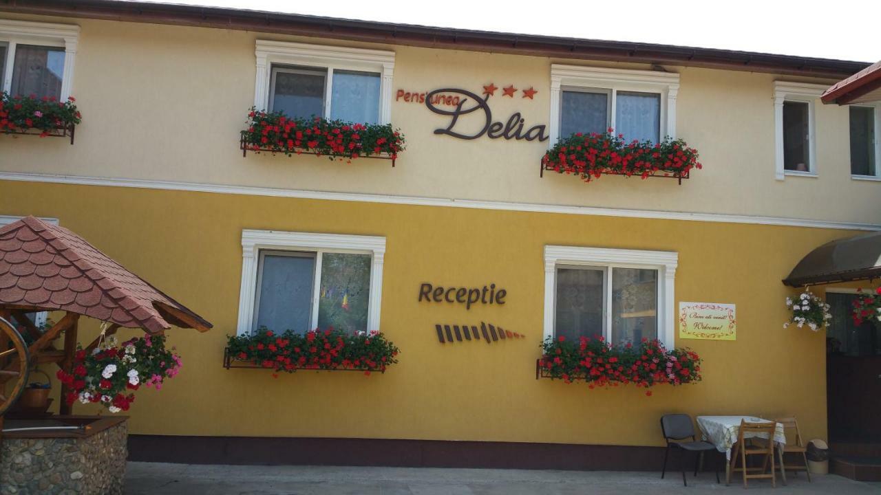 Pension Delia Gardens Тімішоара Екстер'єр фото