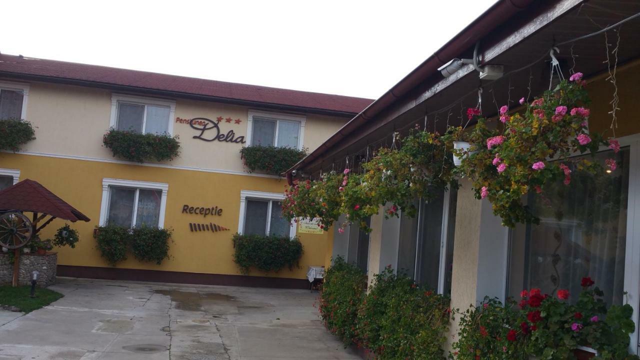 Pension Delia Gardens Тімішоара Екстер'єр фото