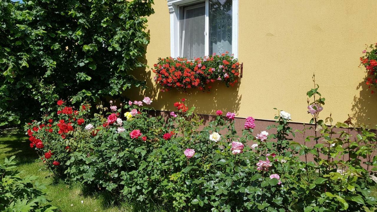 Pension Delia Gardens Тімішоара Екстер'єр фото