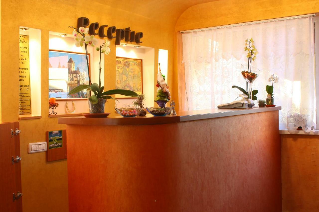 Pension Delia Gardens Тімішоара Екстер'єр фото