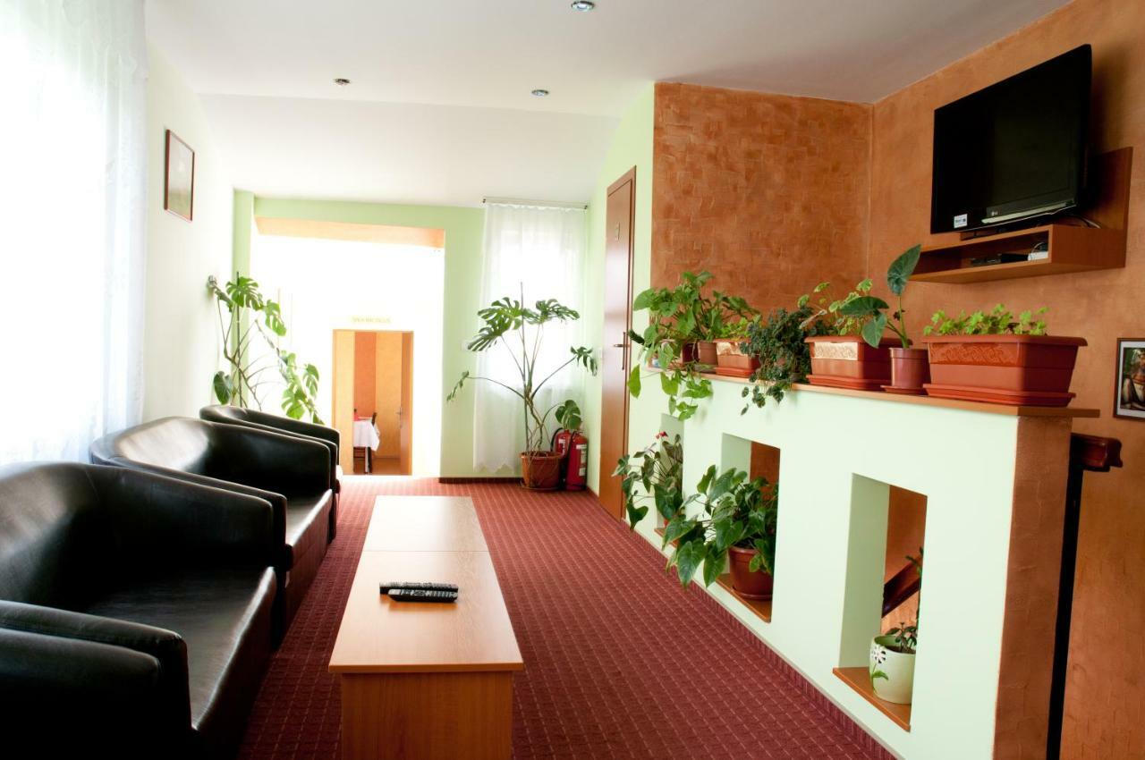 Pension Delia Gardens Тімішоара Екстер'єр фото