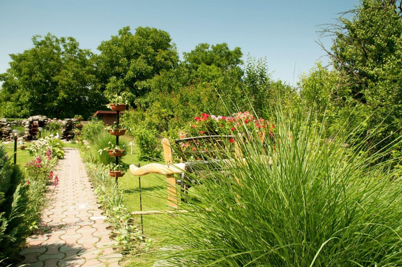 Pension Delia Gardens Тімішоара Екстер'єр фото