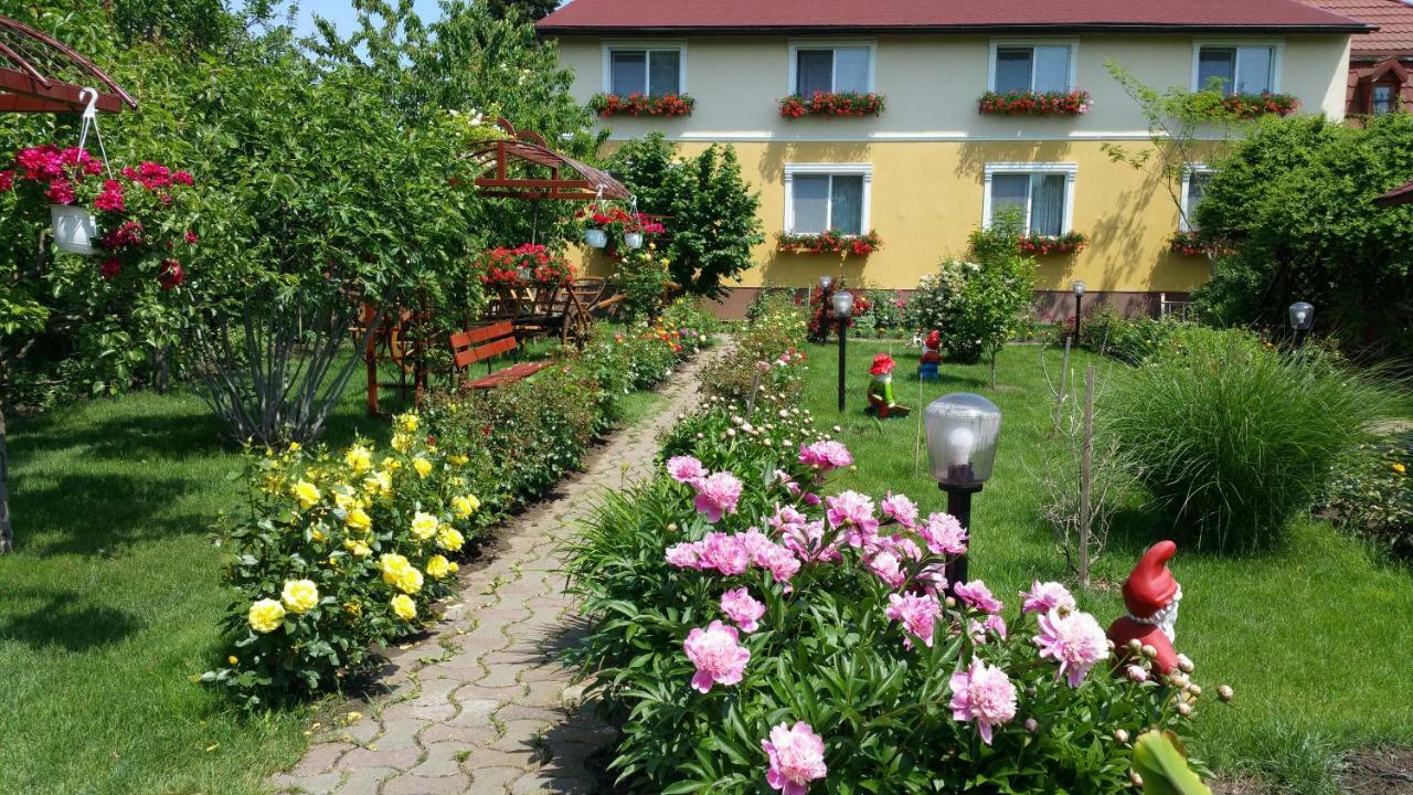 Pension Delia Gardens Тімішоара Екстер'єр фото