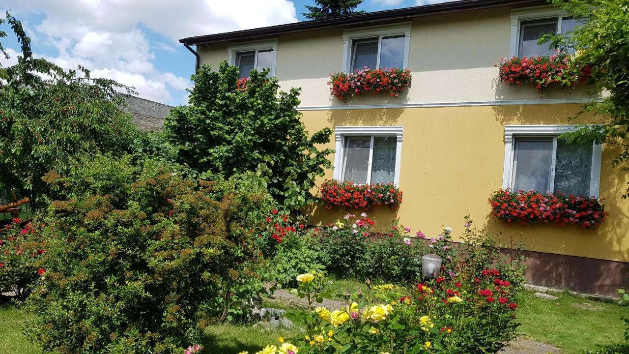 Pension Delia Gardens Тімішоара Екстер'єр фото