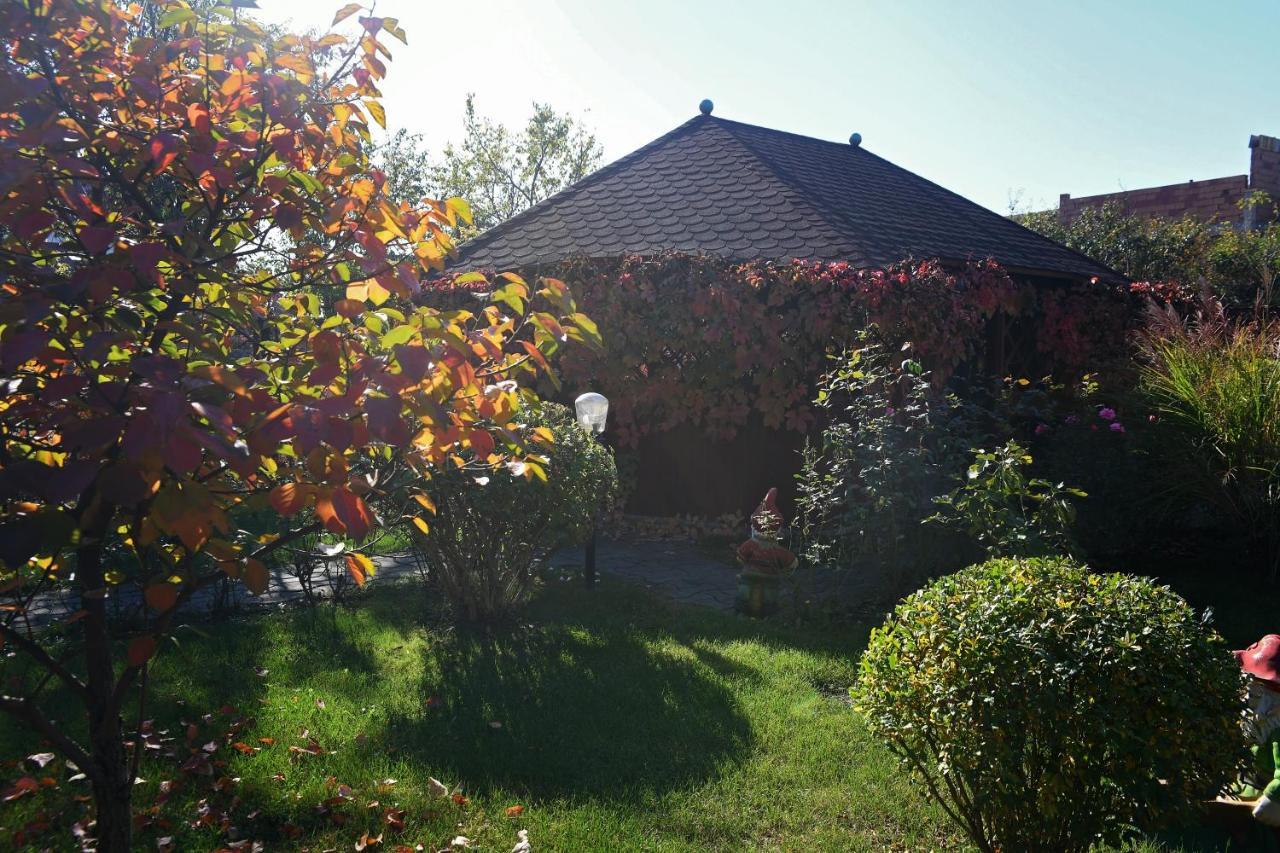 Pension Delia Gardens Тімішоара Екстер'єр фото
